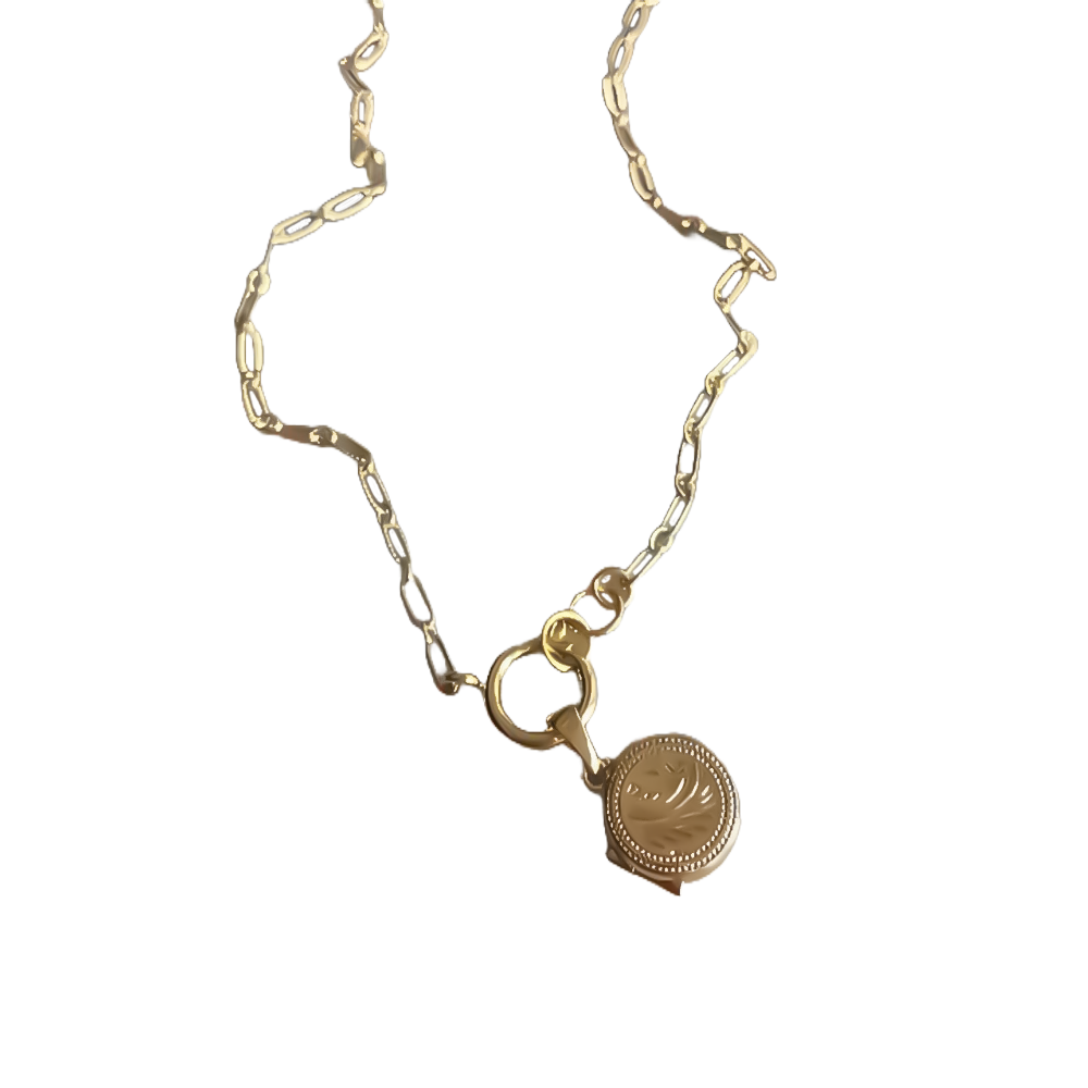 Een delicate gouden ketting met een voorwaartse sluiting, versierd met een klein rond medaillon, die tijdloze elegantie belichaamt.