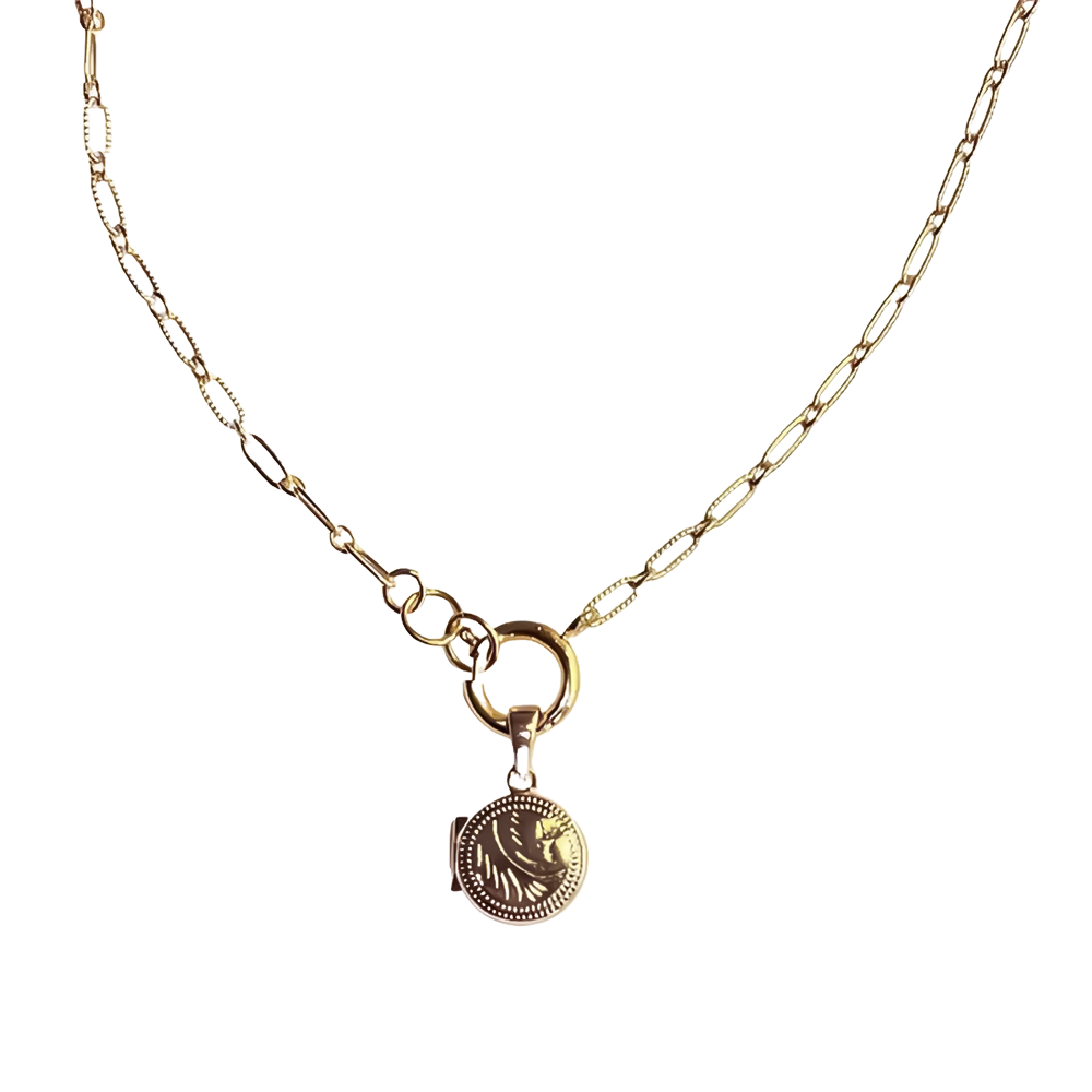 Fijne gouden ketting met een klein, cirkelvormig medaillon hangend aan een voorwaartse sluiting, die klassieke charme uitstraalt.