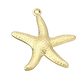Een gouden zeester-bedeltje, met vijf sierlijk gebogen armen, dat de elegantie van de oceaan in een delicaat ontwerp vangt
