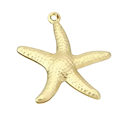 Een gouden zeester-bedeltje, met vijf sierlijk gebogen armen, dat de elegantie van de oceaan in een delicaat ontwerp vangt